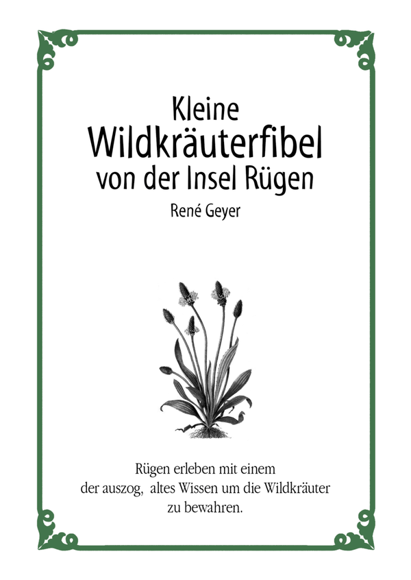 Kleine Wildkräuterfibel von der Insel Rügen Rene Geyer (3. Auflage)