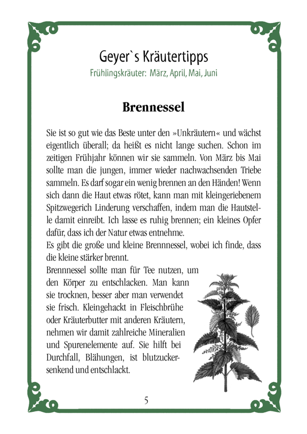 Kleine Wildkräuterfibel von der Insel Rügen Rene Geyer (3. Auflage)